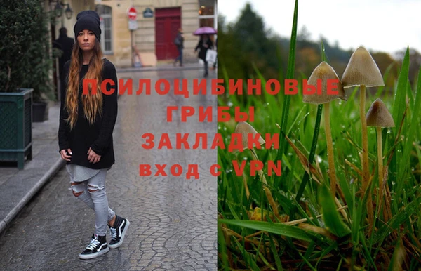 гашик Покачи