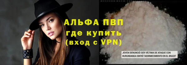 стафф Алексин
