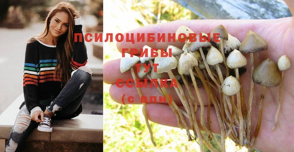 стафф Алексин