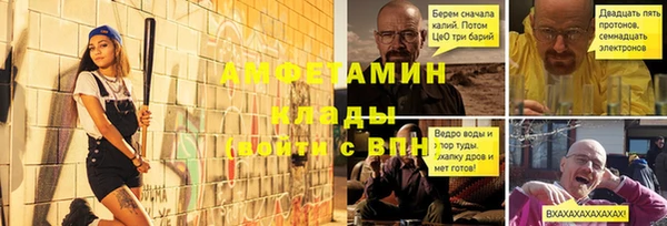 стафф Алексин