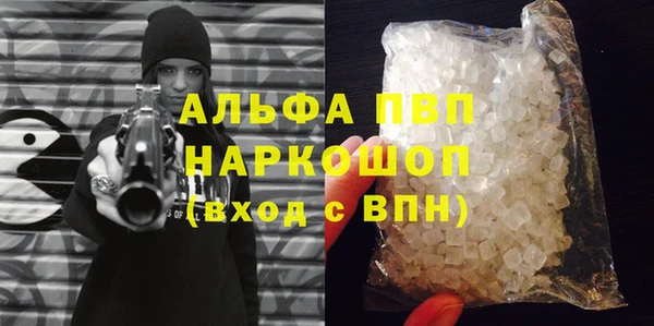 стафф Алексин