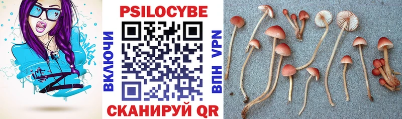 наркота ОМГ ОМГ рабочий сайт Галлюциногенные грибы мухоморы Ковылкино